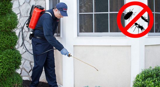 Çüngüş Fare İlaçlama böcek ilaçlama ve haşere kontrolü — ilaclama-tr.com
